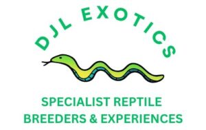 DJL Exotics